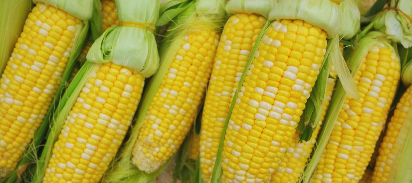 Skillet Shrimp and Corn with Lime Dressing — Cookery