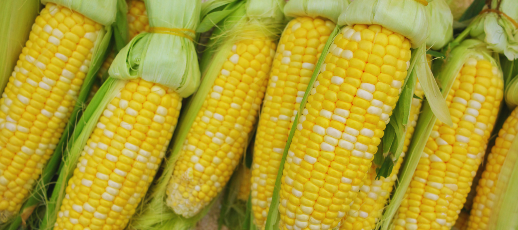 Skillet Shrimp and Corn with Lime Dressing