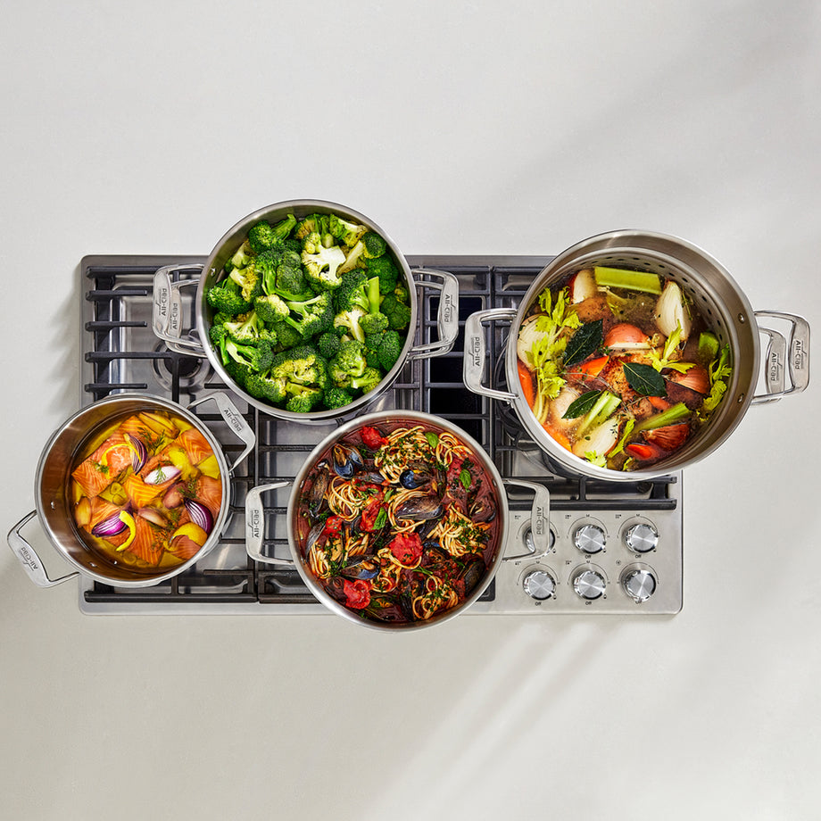 All-Clad 12QT Multi-Cooker with insert & Lid