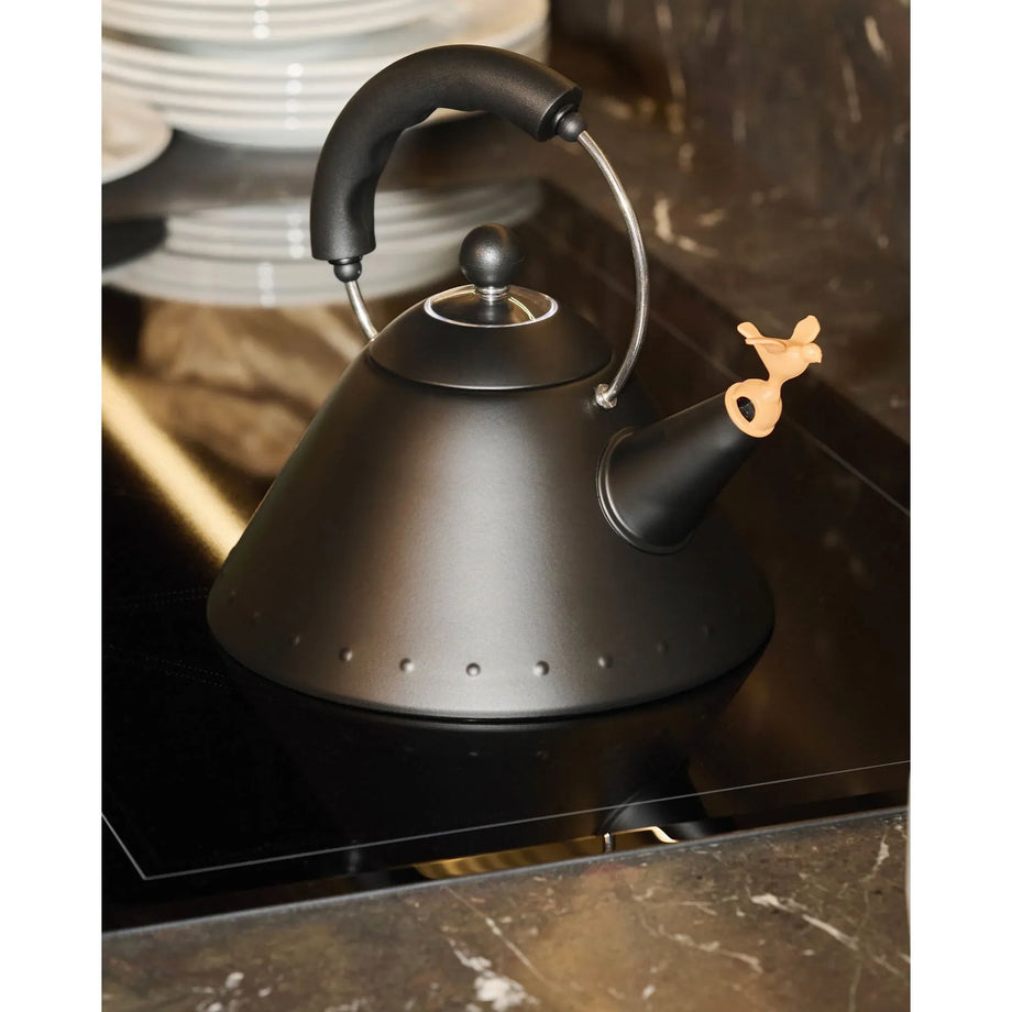 Alessi 9093 BB Induction Kettle – Black