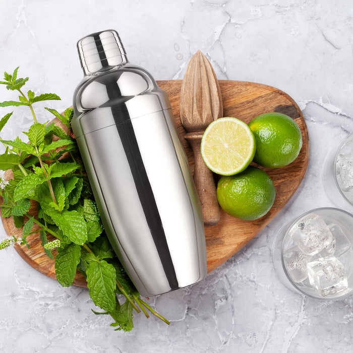 Final Touch Double-Wall Stainless Steel Cocktail Shaker - 18 oz.