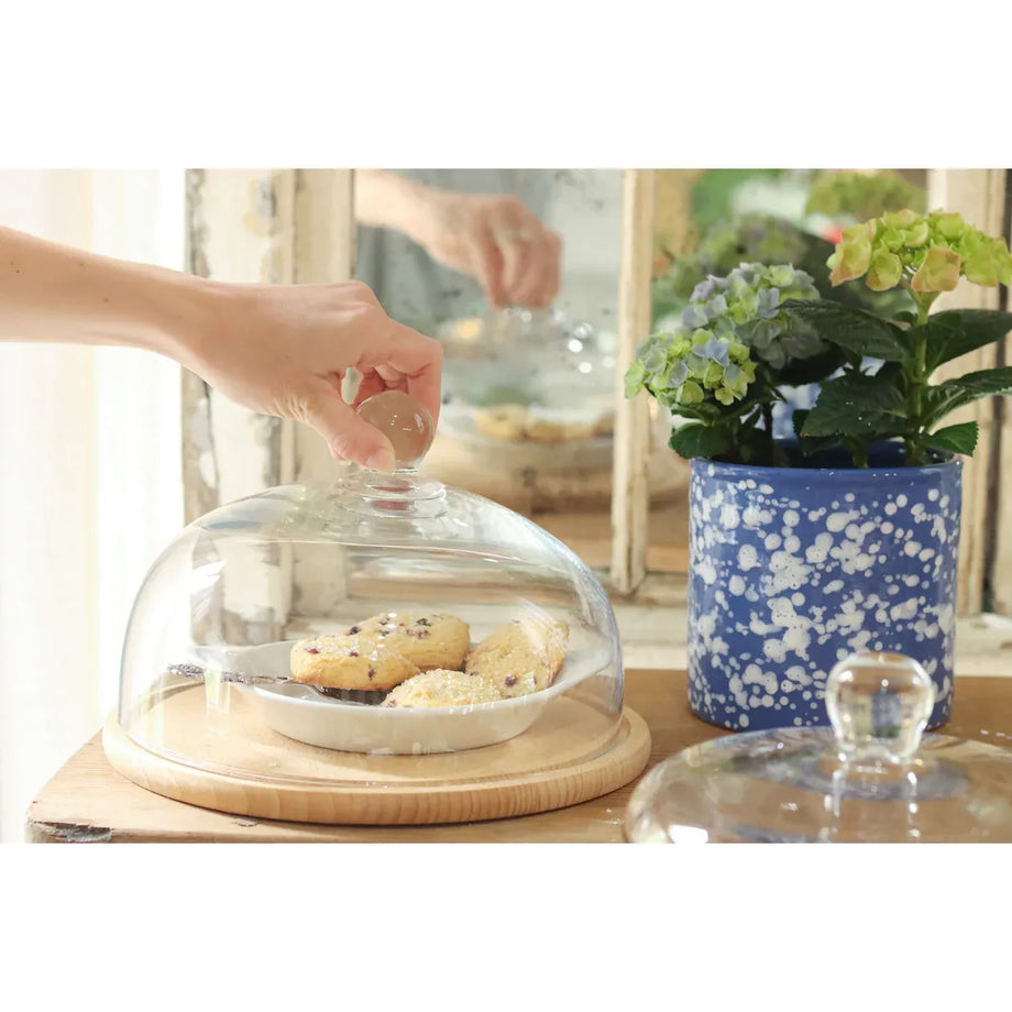 EtuHOME Recycled Glass Dome Cover with Wood Base - Medium