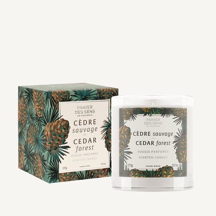 Panier des Sens Scented Candle - Cedar Forest