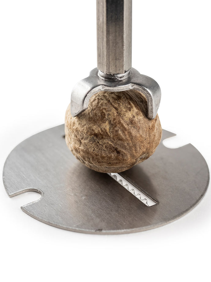 Peugeot Daman Nutmeg Mill / 15cm / 6" - Stainless Steel