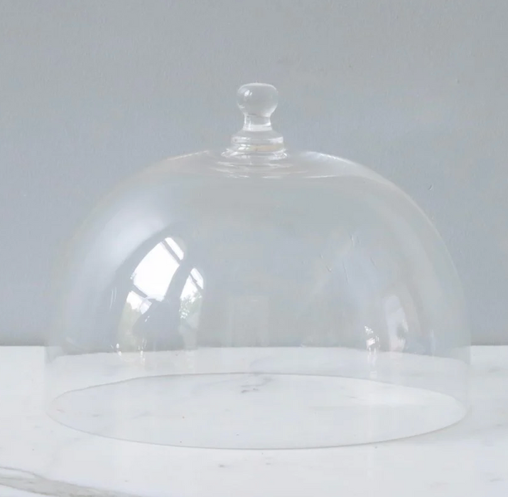 EtuHOME Found Glass Cake Dome Cover - Large