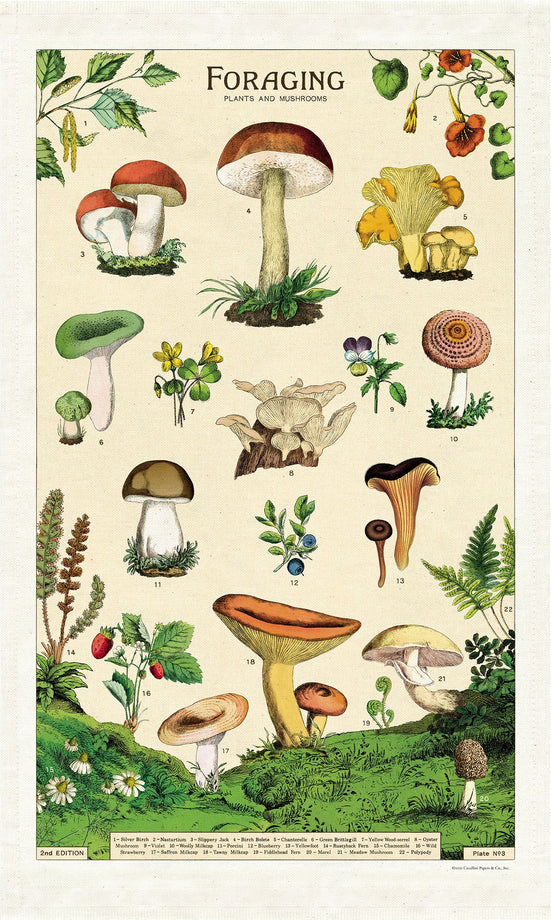 Cavallini Foraging Tea Towel