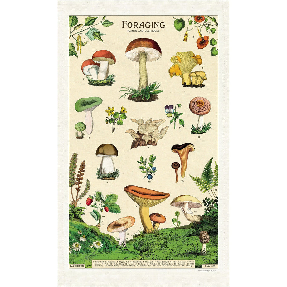 Cavallini Foraging Tea Towel