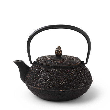 Miya Cast Iron Teapot - 0.65L